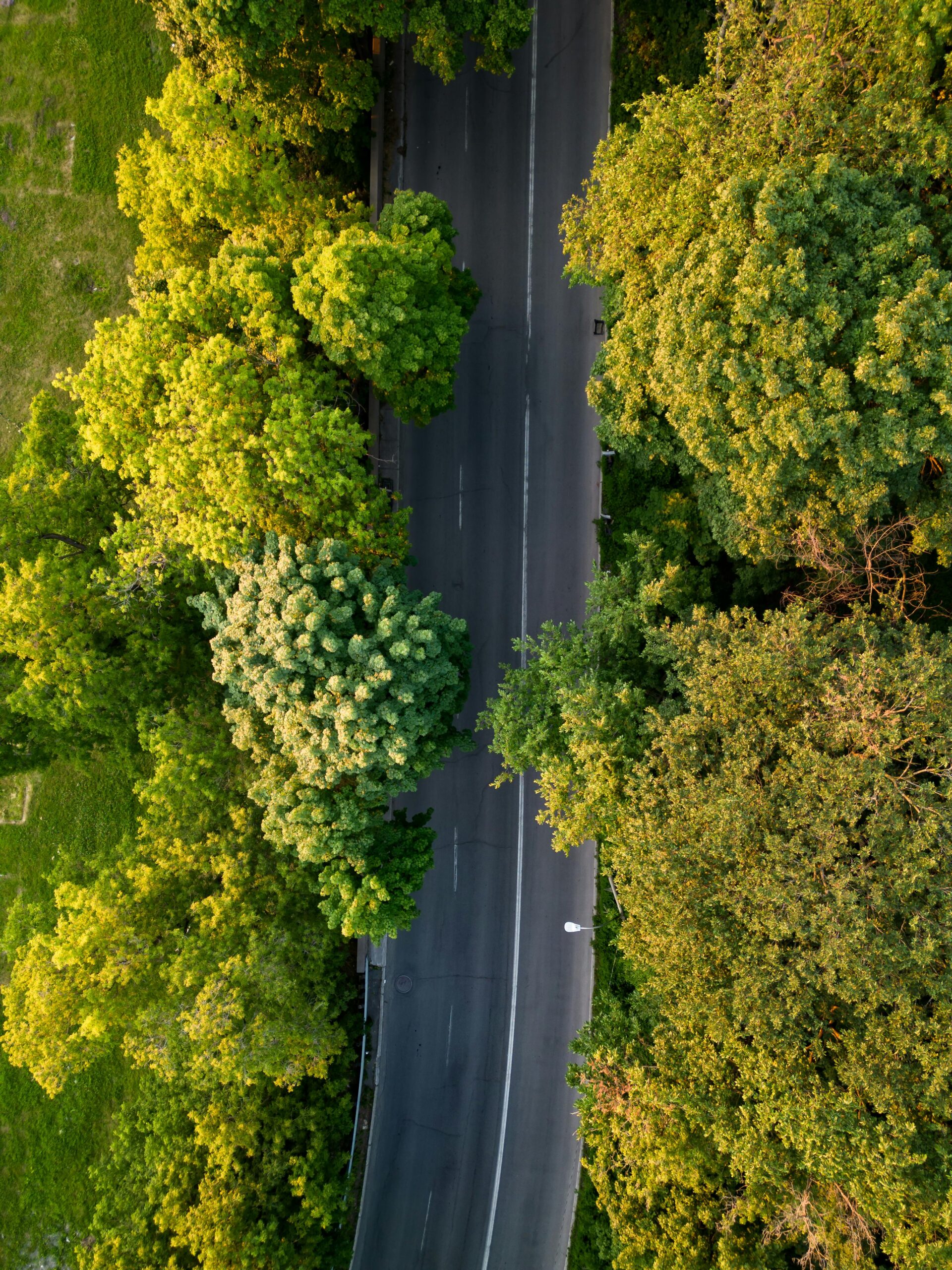 Stunning aerial view of a road winding through lush green trees in Ottawa, Canada.